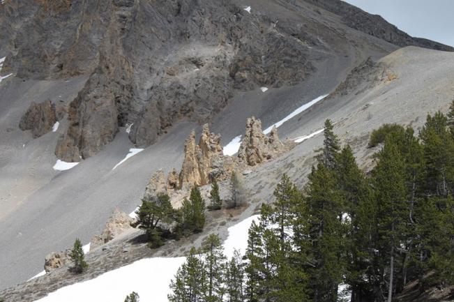 4 La Casse déserte (7)