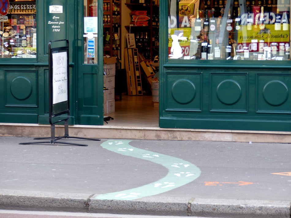 Je l'ai trouvé ... le lapin blanc ! 