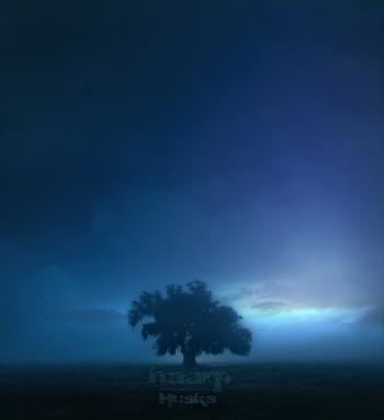 HAARP_Husks