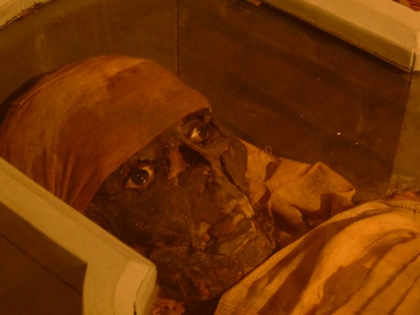 Le grand Musée de Picardie