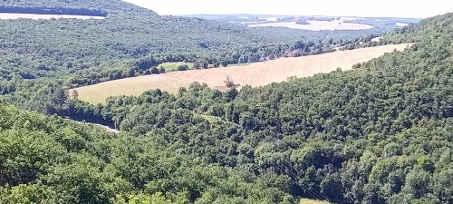 "Pont-de-Pany" - Mercredi 13 juillet 2022