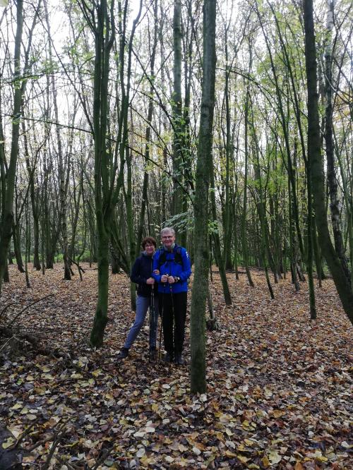 Photos de ce dimanche matin