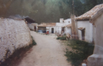 DSC01568