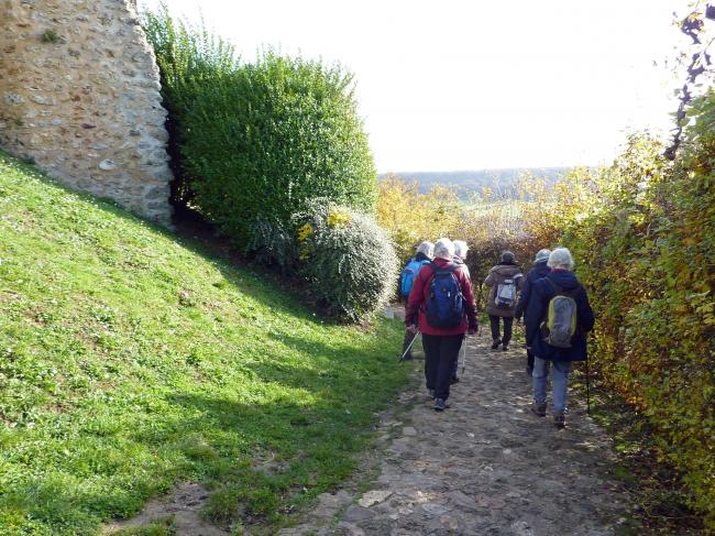 Randonnée autour de Saint-Rémy-lès-Chevreuse avec Jacqueline