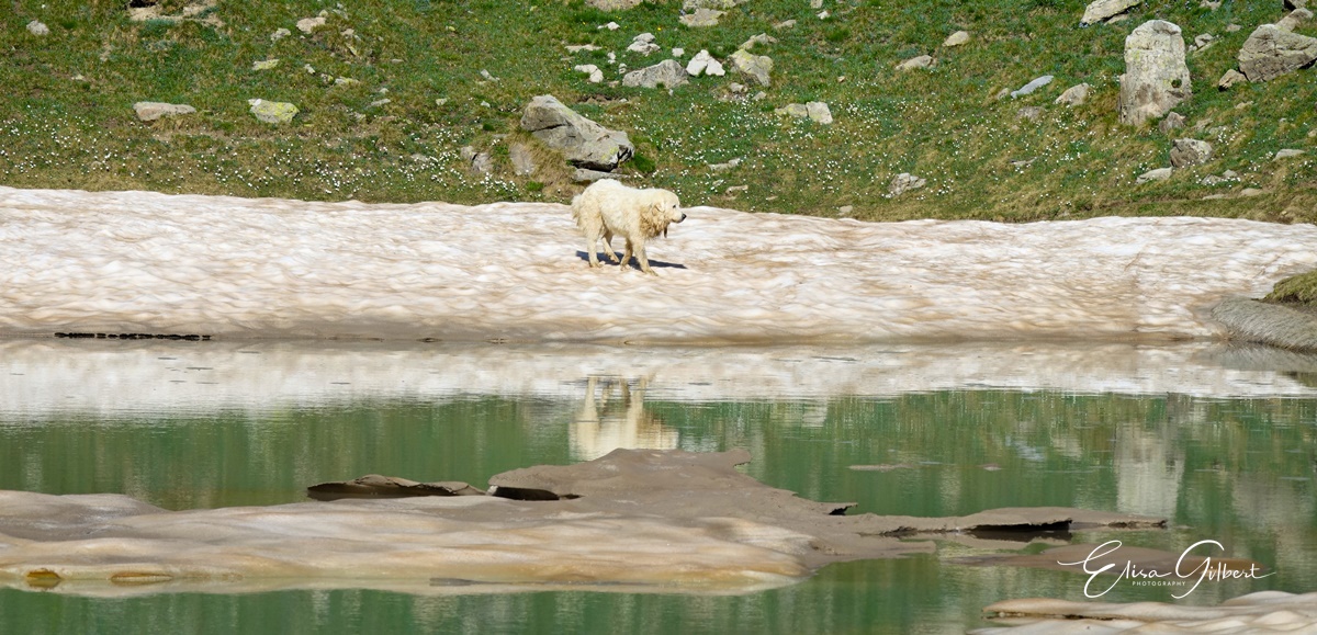 Une journée d'Août en montagne
