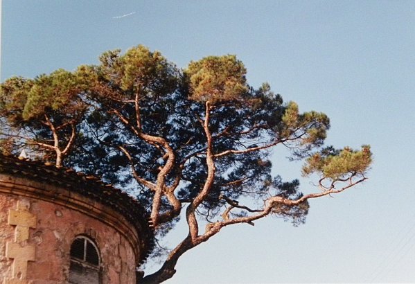 glciere3.jpg