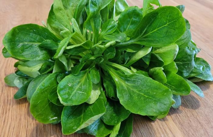 Légumes du mois d'Avril