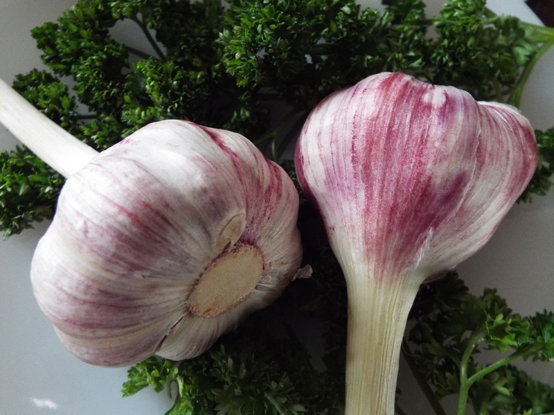 Un goût subtil "l'ail nouveau" ...