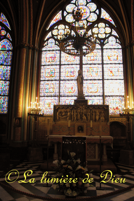 La cathédrale Notre-Dame de Paris