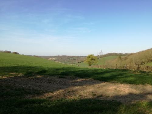  * Paysages bucoliques du Kent