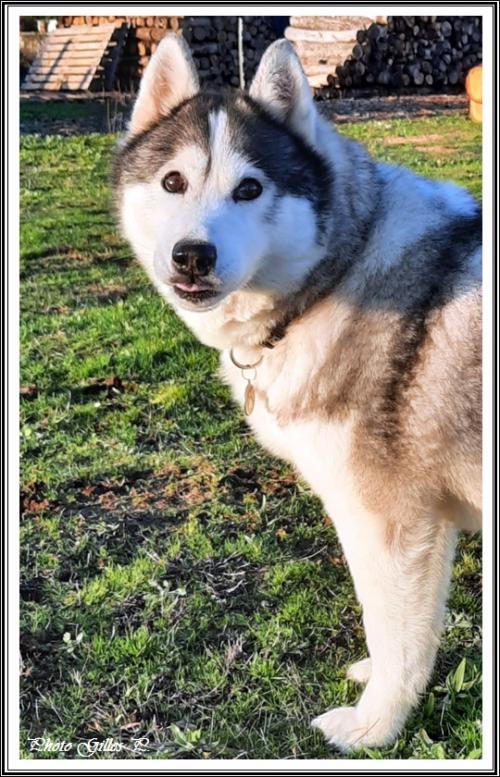 Iska (9 ans)