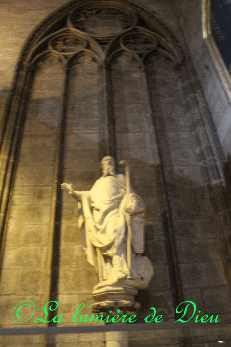 La cathédrale Notre-Dame de Paris