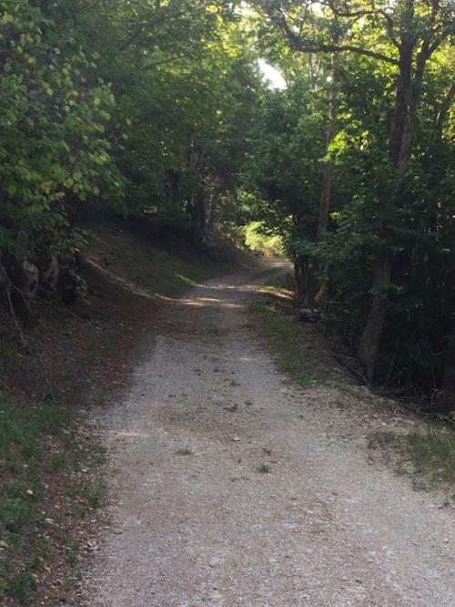 Vers Chatillon le désert