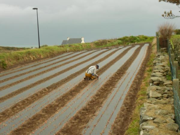 Courageux nos agriculteurs !