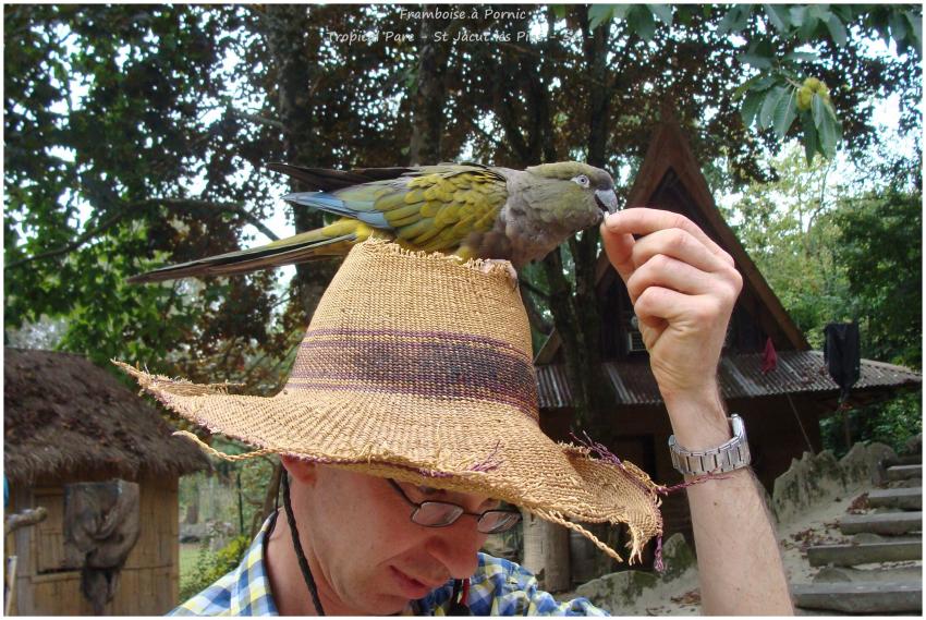 Tropical Parc St Jacut les Pins - 56 -