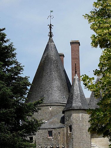 château de Langeais - 17