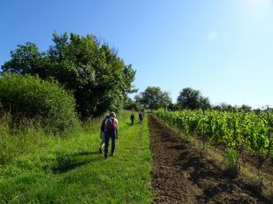 CR / RANDO 15 - RIONS - Lac de Laromet