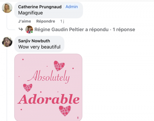 LE BUFFLE ET L ENFANT