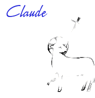 Les signatures animées