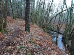 CR / RANDO 15 / ST-MEDARD-EN-JALLES
