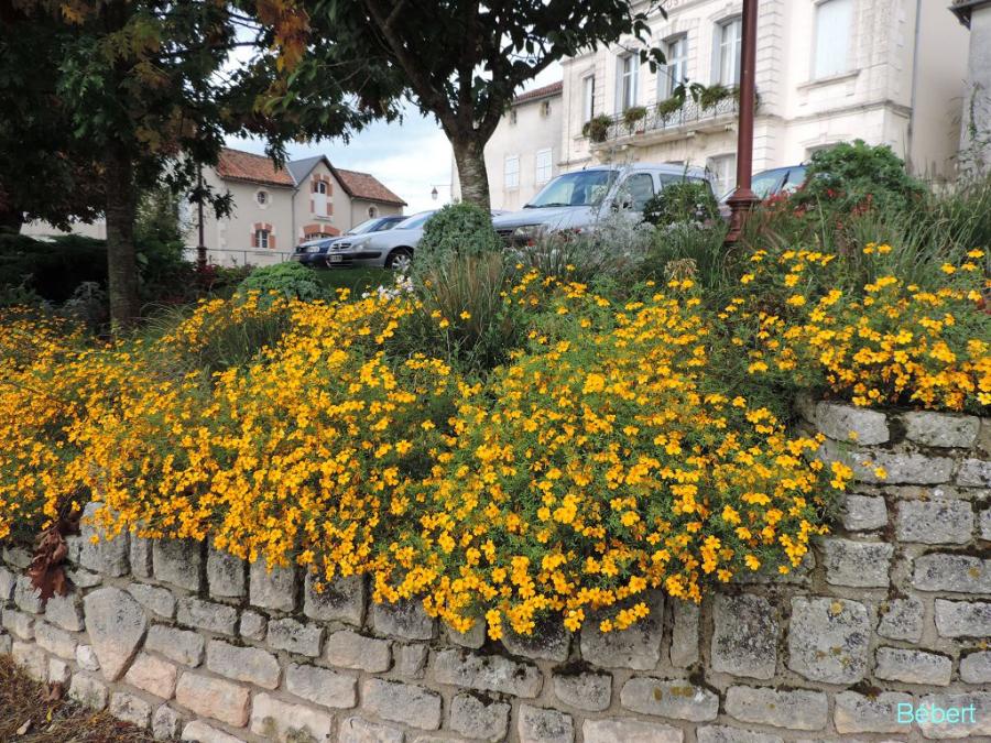 Charoux dept 86 (2)