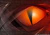 Regard_044.jpg