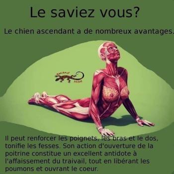 ღ꧁ღ╭⊱ꕥ  La Méditation ꕥ⊱╮ღ꧂ღ
