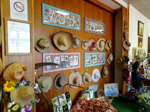 "Le jardinier amateur", l'exposition 2012 des Amis du Canton d'Aignay le Duc