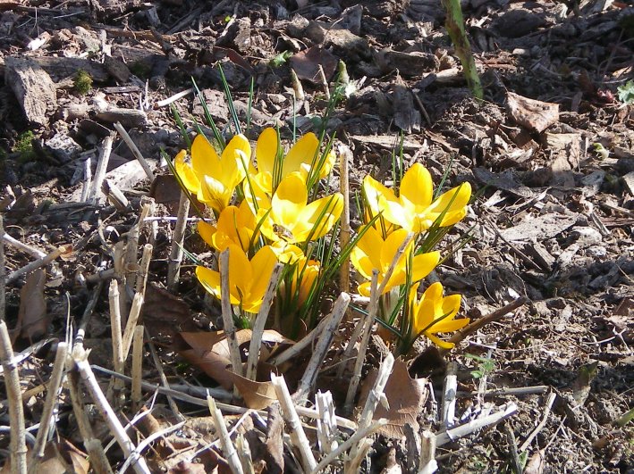 image04.jpg