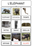 Lexique - thème savane
