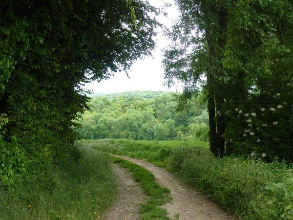 Randonnée entre Mareil-sur-Mauldre et Neauphle-le-Château