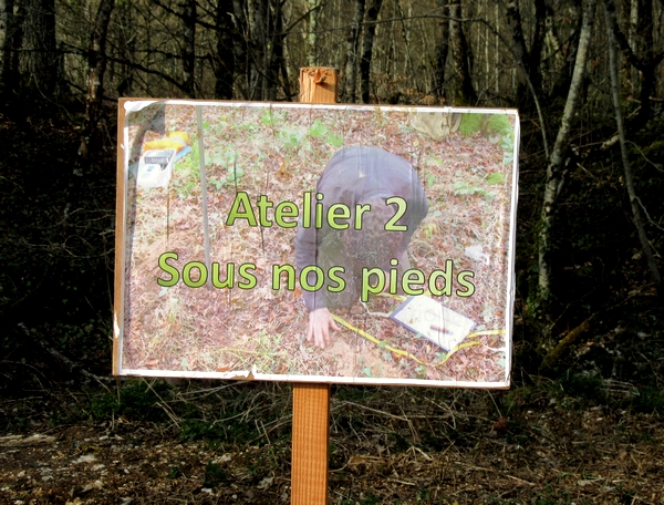 "Vis ma vie de forestier"