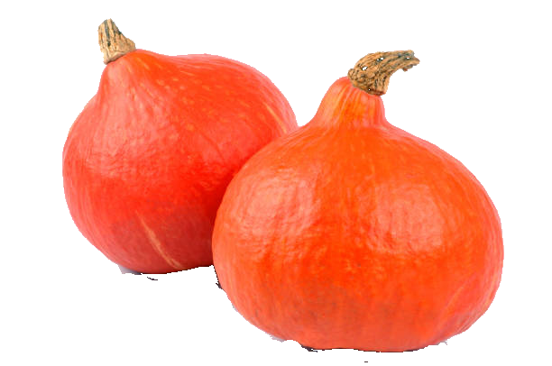 Légumes du mois de Septembre