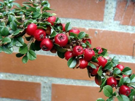 DSC03989__1280x768_