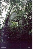 LES REMPARTS DE MORTEMER (Seine-Maritime)