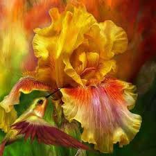             """BONJOUR.!!! -  La Fin des IRIS & PIVOINES du Jardin."""