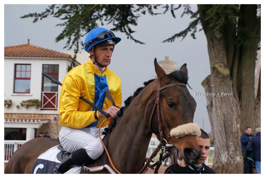 Jaune, Rayonnant, éveillé,énergique 
