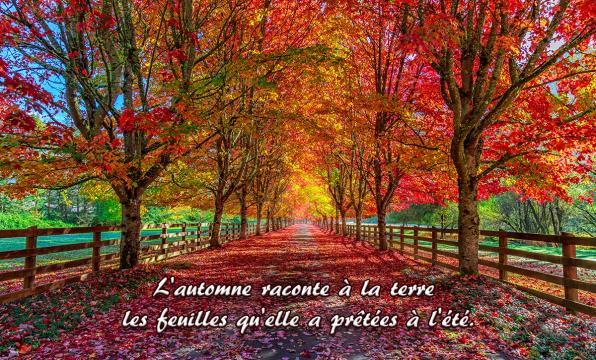 "conte d'automne" ... 