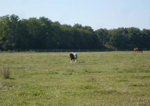 Du Bois-du-Roy vers Les Bordes 