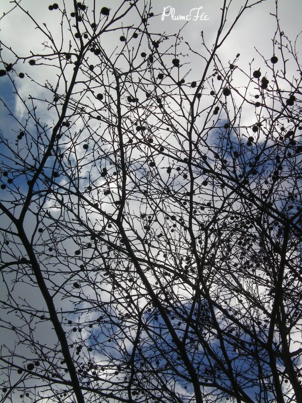 Image018.jpg