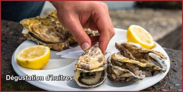 ღ꧁ღ╭⊱ꕥ   33 Bordeaux  ꕥ⊱╮ღ꧂ღ