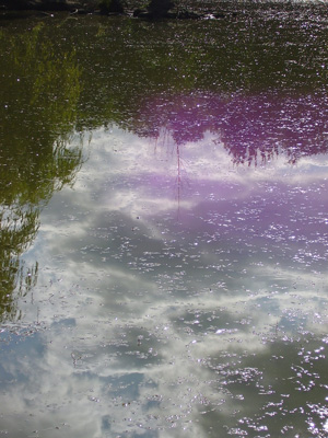 Les reflets de lumière de Cat