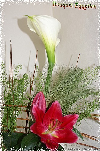 2011 avril 5 bouquet egyptien 1