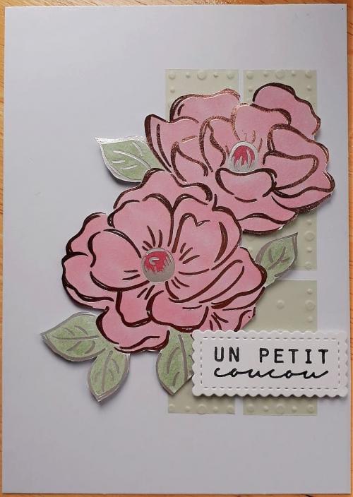 Des carrés ...