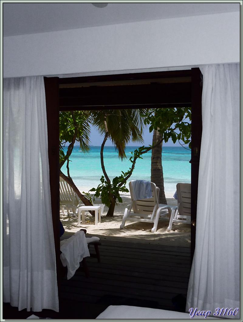 Notre bungalow pieds dans l'eau et tête dans les palmiers - Athuruga - Atoll d'Ari - Maldives