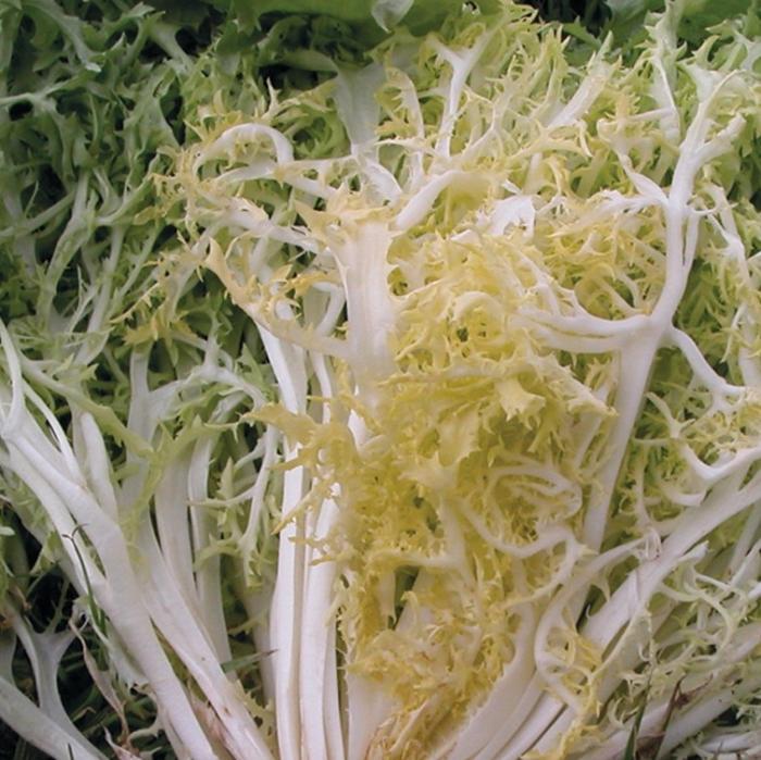 Légumes du mois de Mars