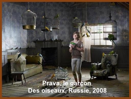 Les Enfants De La Jungle.