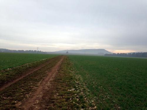 "Combe à La Serpent" - Mercredi 27 janvier 2016