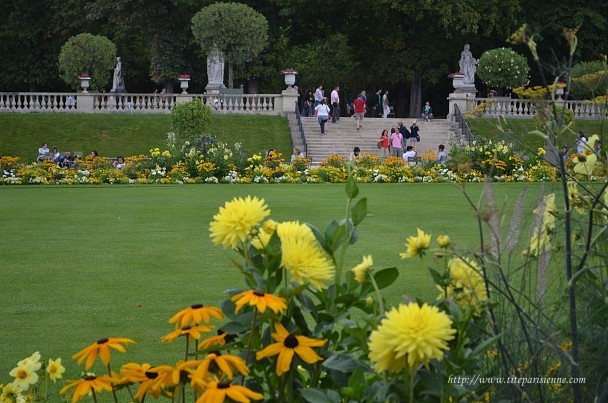 6 août 2012 Jardin du Luxembourg 1