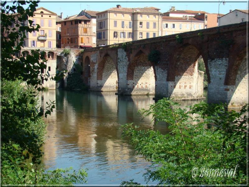 Albi le Pont Vieux et les maisons de la rive droite